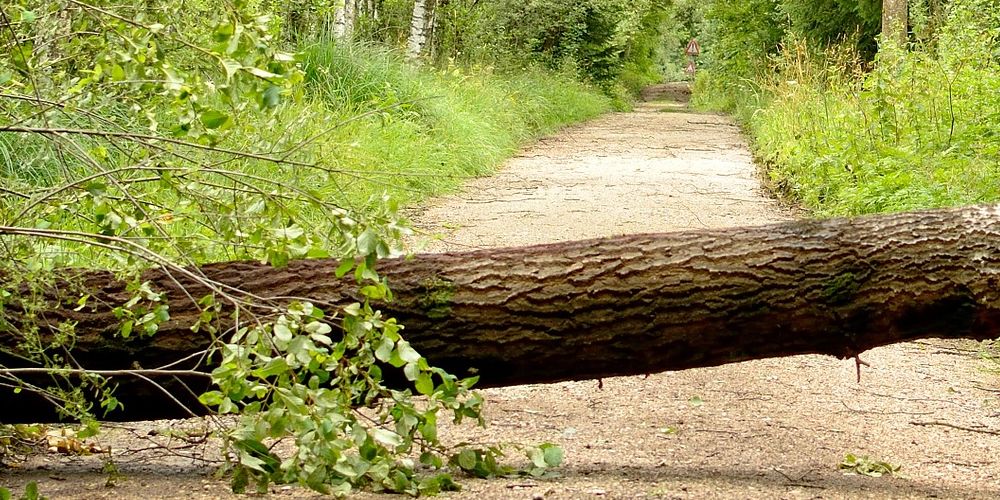 Krisenintervention in der Kinder- und Jugendhilfe